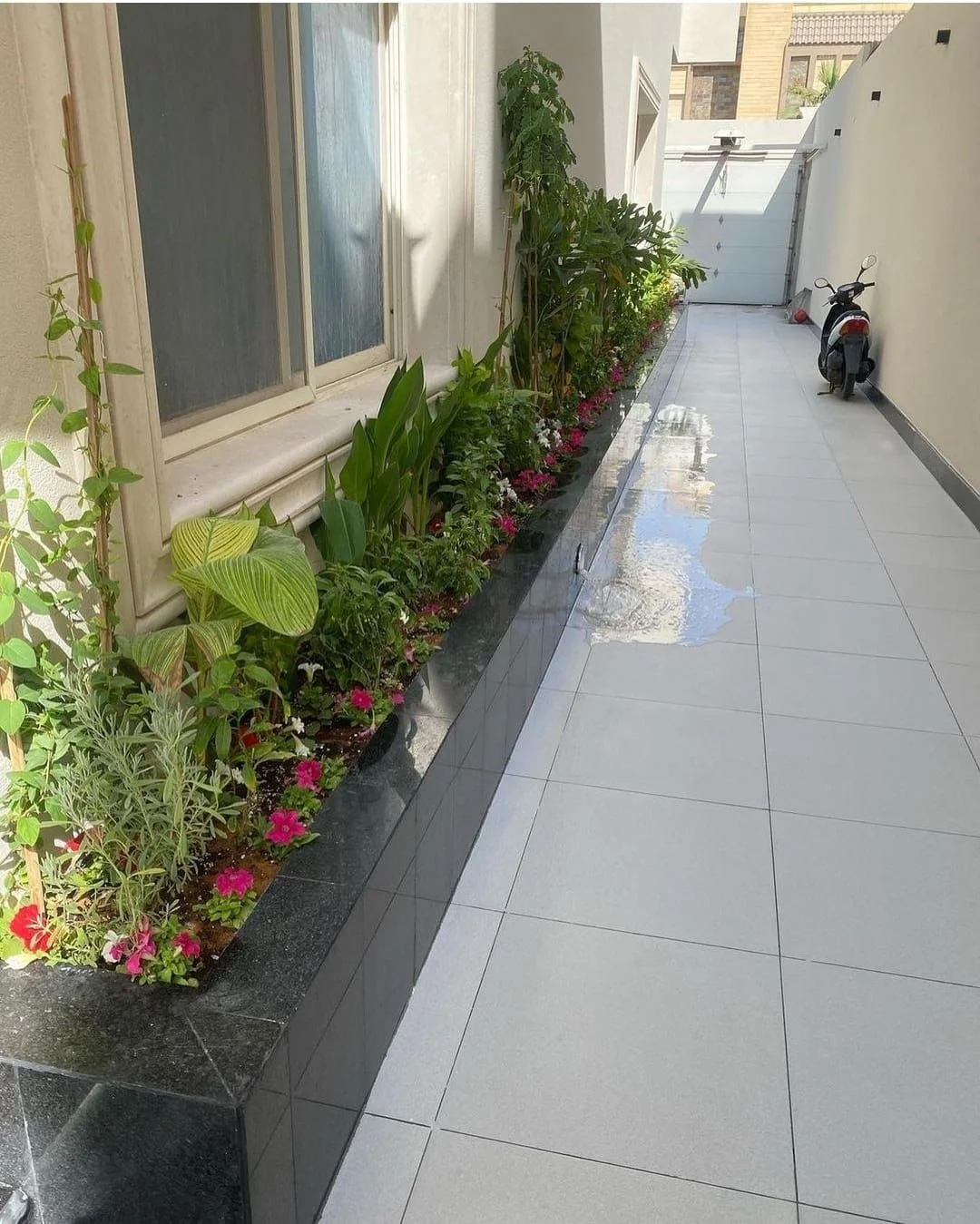 ديكورات زراعية